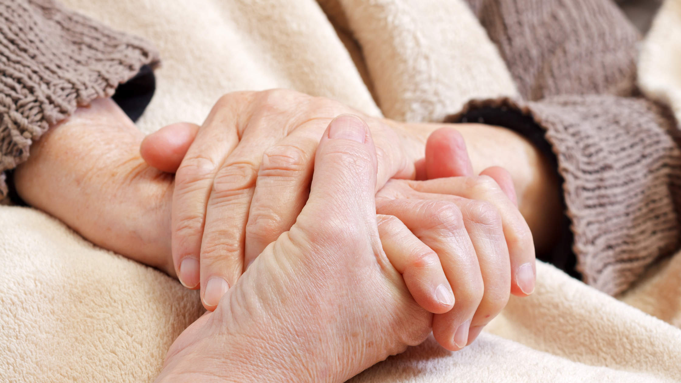 When Care Delays Become Business Risk - Bolt Healthcare Blog Featured IMG